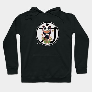 Kung Fu Boy Panda Hoodie